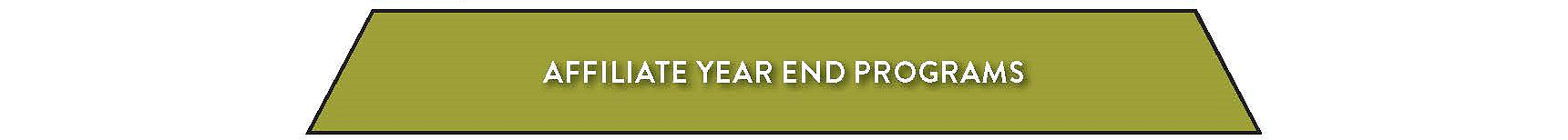 pyramid_affiliate_yearend
